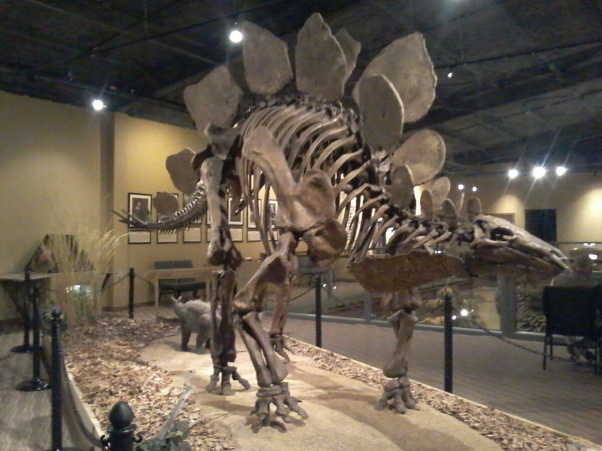Stegosaurus!